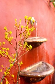 Ispirato da Frida Kalo