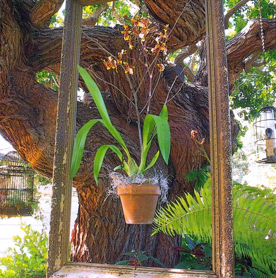 Great Gardens page 154