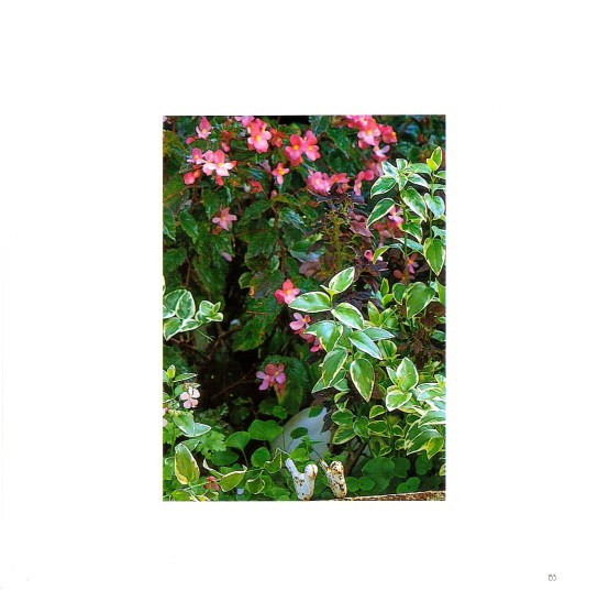 Great Gardens page 155