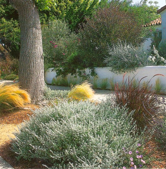 Great Gardens page 158